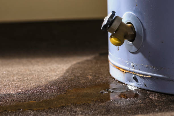 Best Water damage mitigation services  in Kilgore, TX