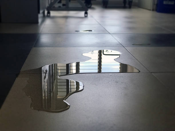 Best Commercial water damage restoration  in Kilgore, TX