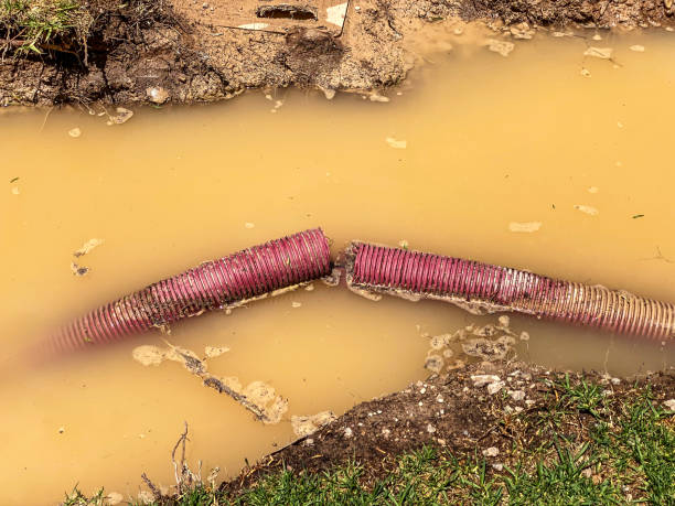 Best Sewage cleanup and water damage restoration  in Kilgore, TX